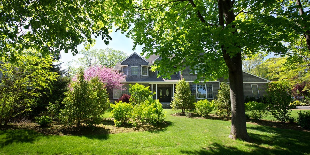 advantages-of-big-trees-shaded-backyard