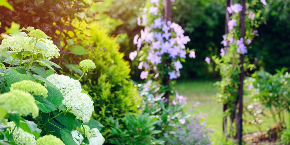 Classical garden designs-Platt Hill Nursery-Chicago