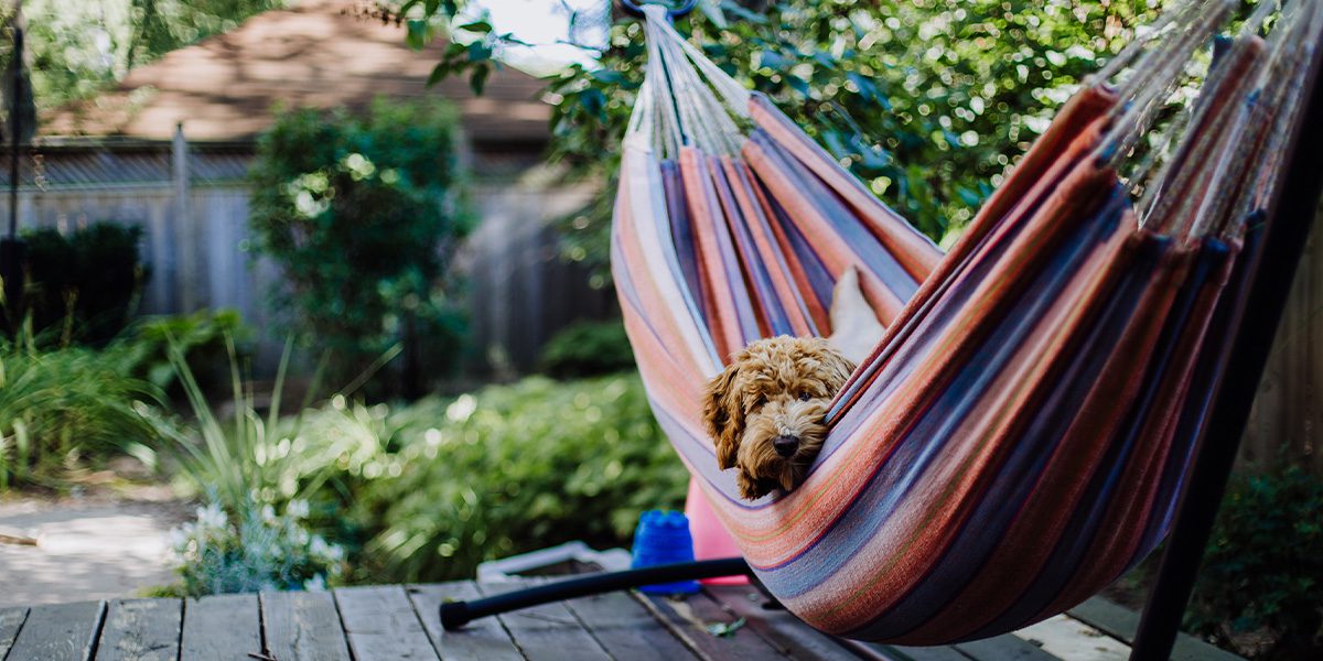 hammock seating area -Platt Hill Nursery-Chicago