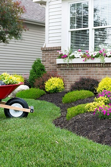 plant installation and tree planting service near Carpentersville, IL