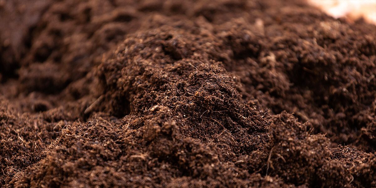 platt hill beginners guide garden soil healthy turned soil