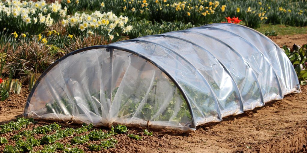 pvc pipe greenhouse - Platt Hill Nursery-Chicago
