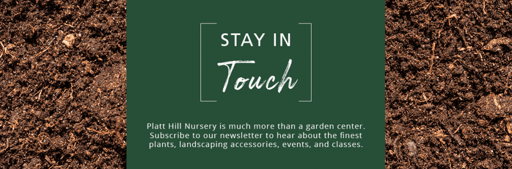 platt hill beginners guide garden soil subscribe button